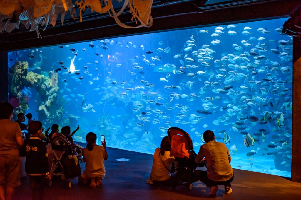 Aquaria Phuket (Aquaria Phuket - Admission (Thai Residents)) - 2