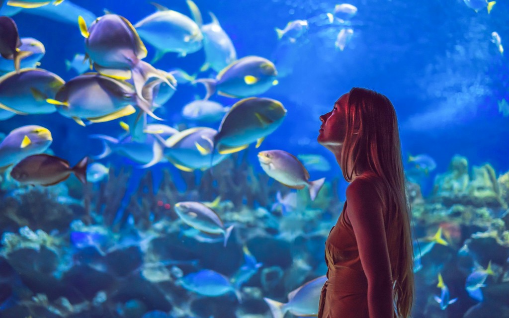 AquaRio: Rio de Janeiro Aquarium Tickets (Ticket to AquaRio) - 3