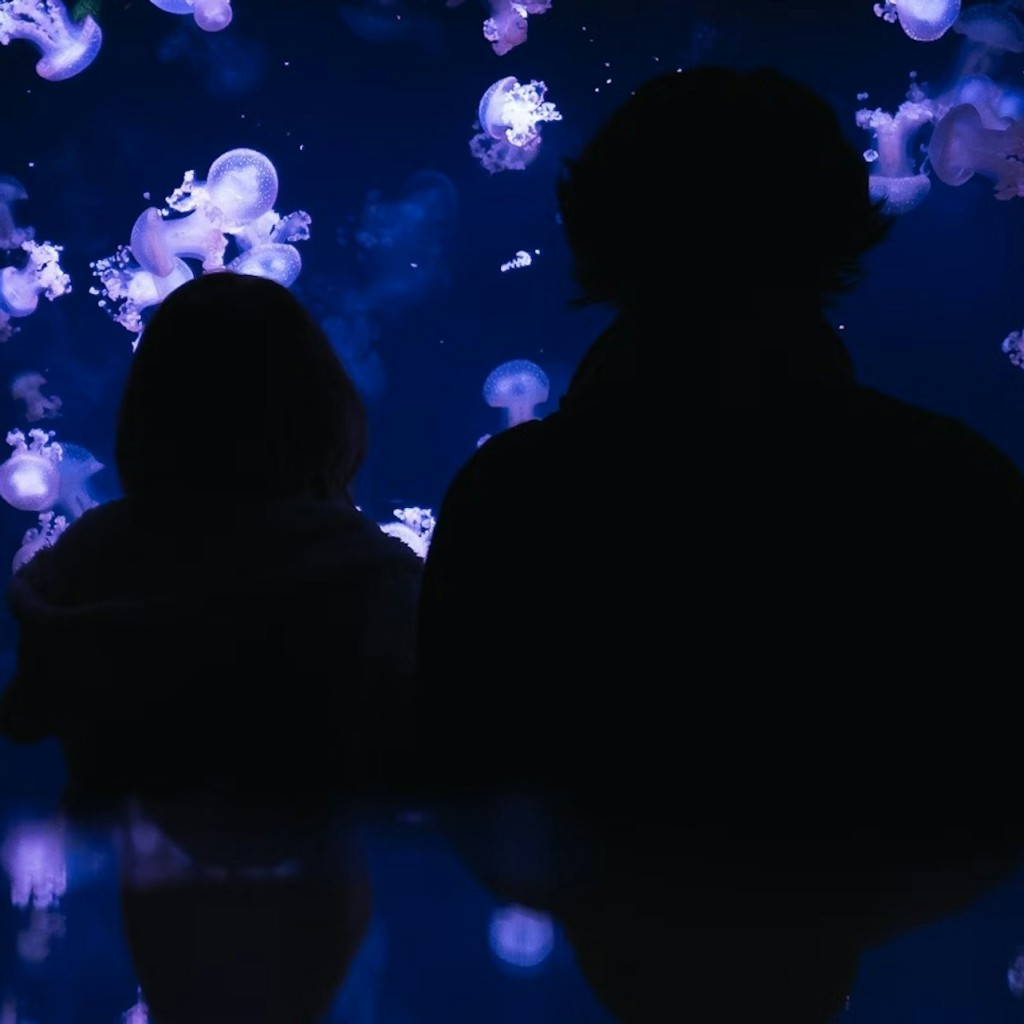 パリ水族館年間パス - 3