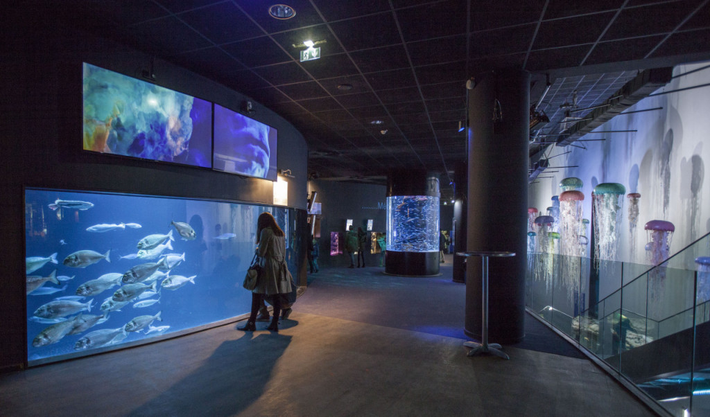 Aquarium de Paris (Aquarium de Paris - Admission) - 2