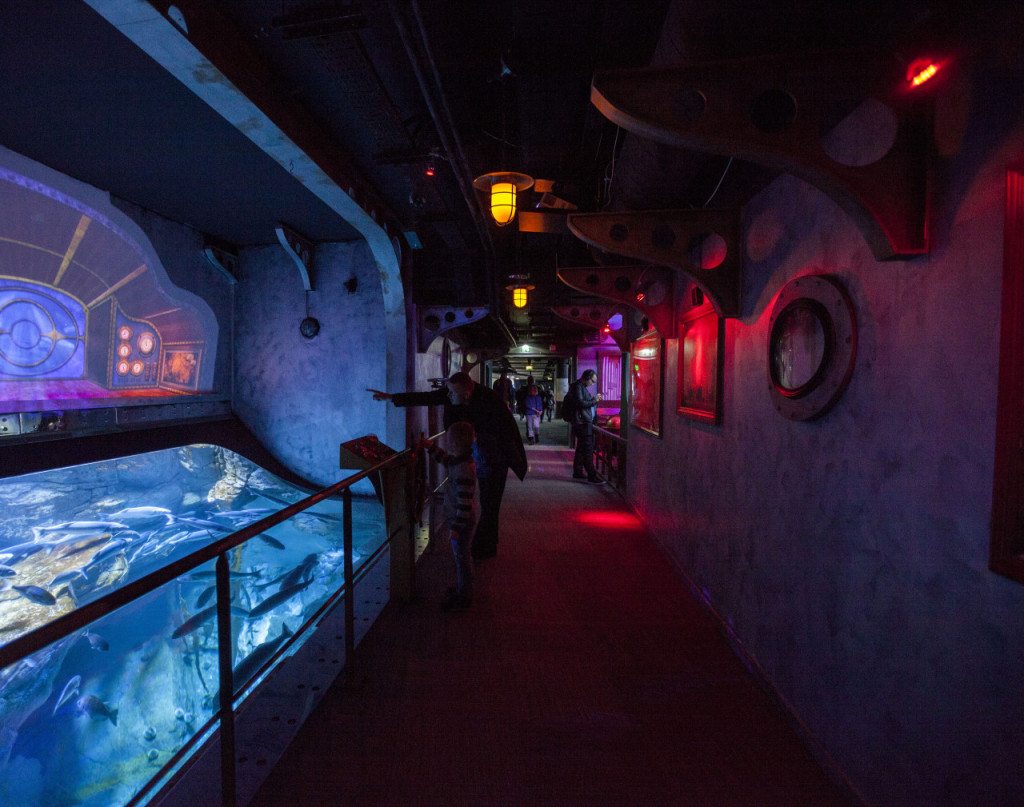 Aquarium de Paris (Aquarium de Paris - Admission) - 3