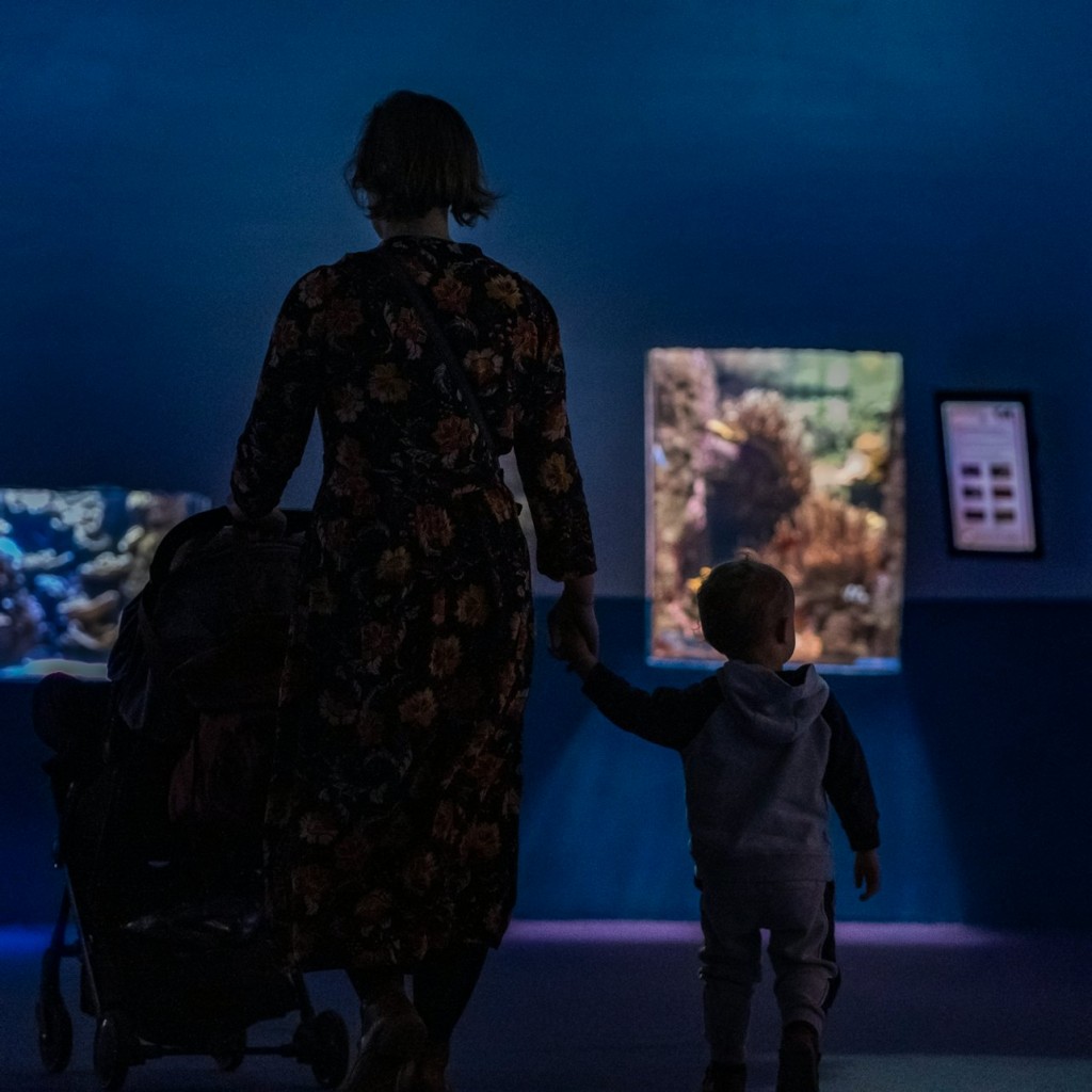 パリ水族館: 入場券 - 1