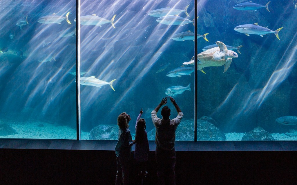 Aquarium de Paris: Tickets für bevorzugten Zugang (Low price) - 1