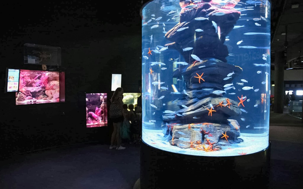 Aquarium de Paris: Tickets für bevorzugten Zugang (Low price) - 2