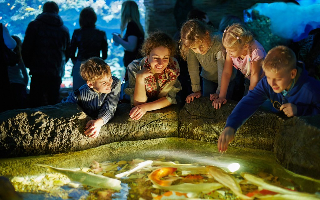 Aquarium de Paris: Tickets für bevorzugten Zugang (Low price) - 3