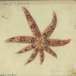 Acquario di Napoli: Biglietto d'ingresso - 2