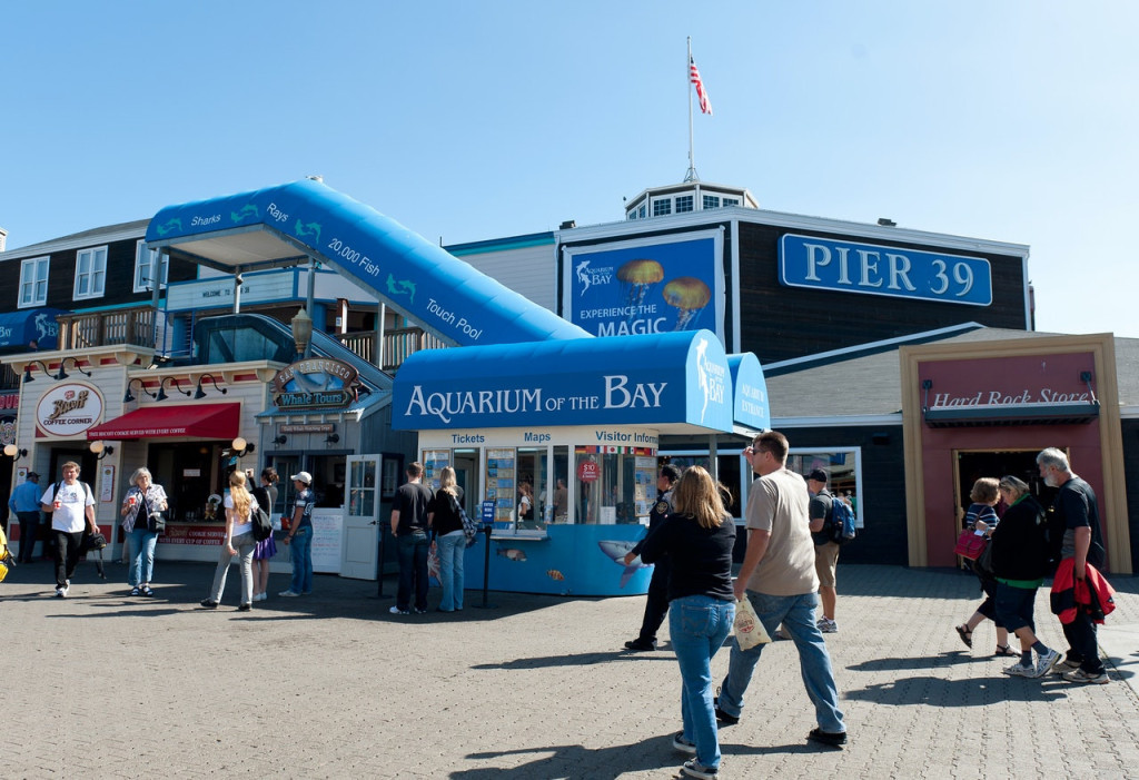 Aquarium of the Bay Ticket (Admission) - 2