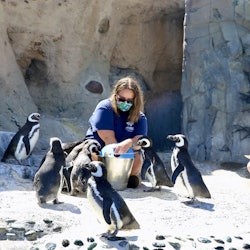 Aquarium of the Pacific: Voucher członkowski - 2