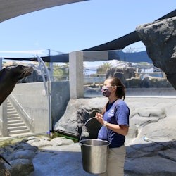 Aquarium of the Pacific: Voucher członkowski - 3