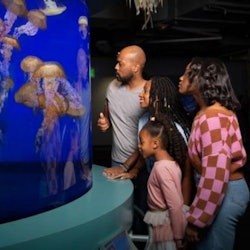 Aquarium of the Pacific: Bilet z opcją bez kolejki - 3
