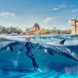 Aquaventure World : Pass journée parc aquatique + Baignade avec les dauphins - 1