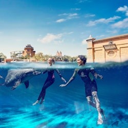 Aquaventure World : Pass journée parc aquatique + Baignade avec les dauphins - 3