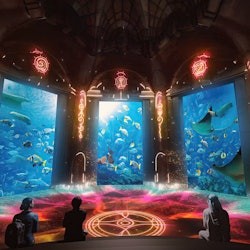 アクアベンチャー・ワールド: ウォーターパーク・デイ・パス + ロスト・ワールド水族館 - 3