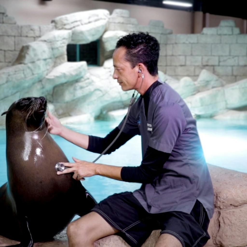 Aquaventure World: Waterpark Day Pass + Sea Lion Experience - 3