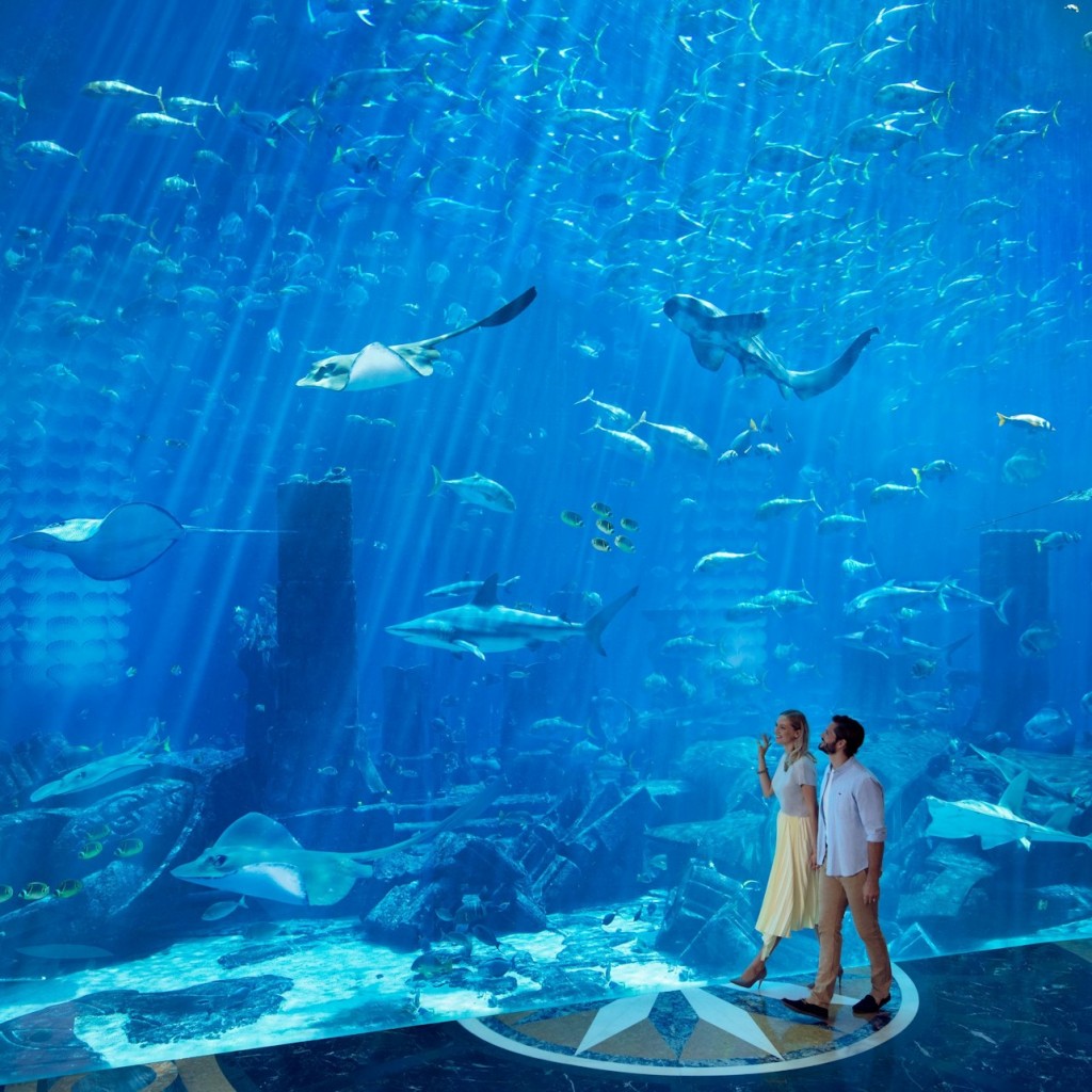 Aquaventure World: Passi de dia de parc aquàtic + Snorkel o safari amb taurons - 1