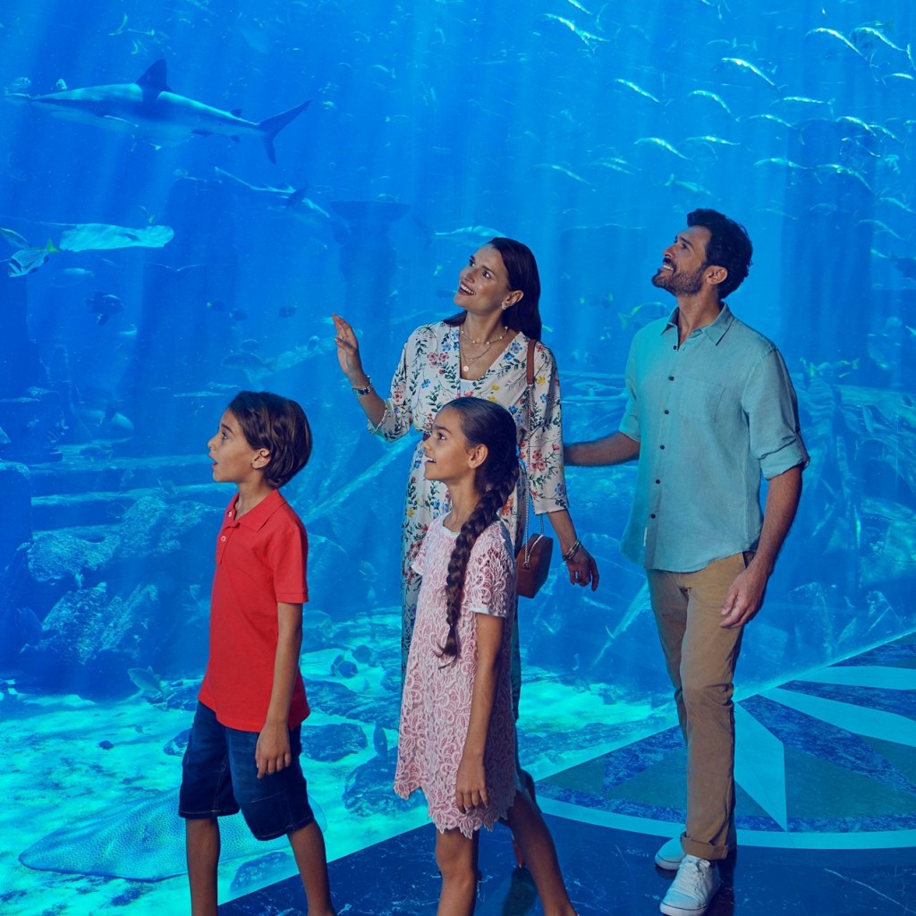 Aquaventure World: Passi de dia de parc aquàtic + Snorkel o safari amb taurons - 2