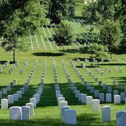 Arlington National Cemetery Guided Walking Tour: Semi-Private - 1