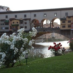 Fiume Arno Firenze: Crociera del Barchetto di 50 minuti - 2