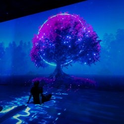 纽约ARTECHOUSE + One World Observatory - 1