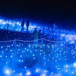Astra Lumina : Sanctuaire de la faune de Currumbin - 2
