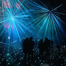 Astra Lumina : Sanctuaire de la faune de Currumbin - 3
