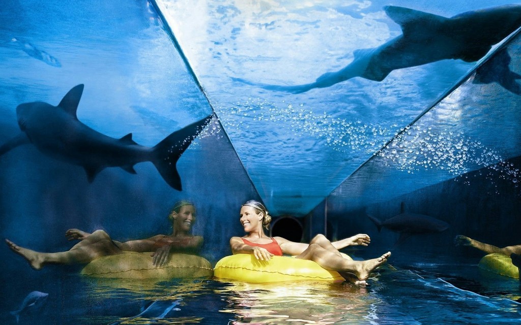Billets pour le Parc aquatique Aquaventure d'Atlantis (Aquaventure Day Pass) - 1
