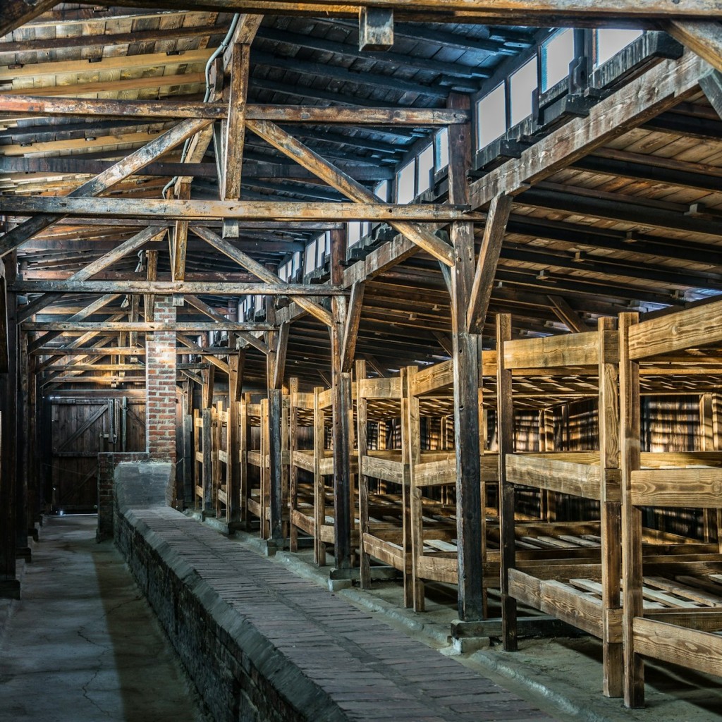 Auschwitz-Birkenau: Führung + Transport - 1