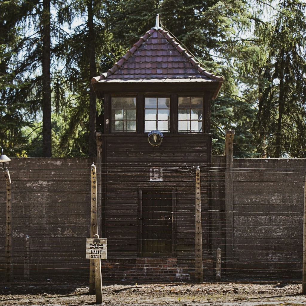Auschwitz-Birkenau: Führung + Transport - 3