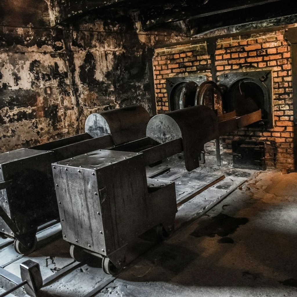 Auschwitz-Birkenau : Visite guidée + Transports + Déjeuner - 1