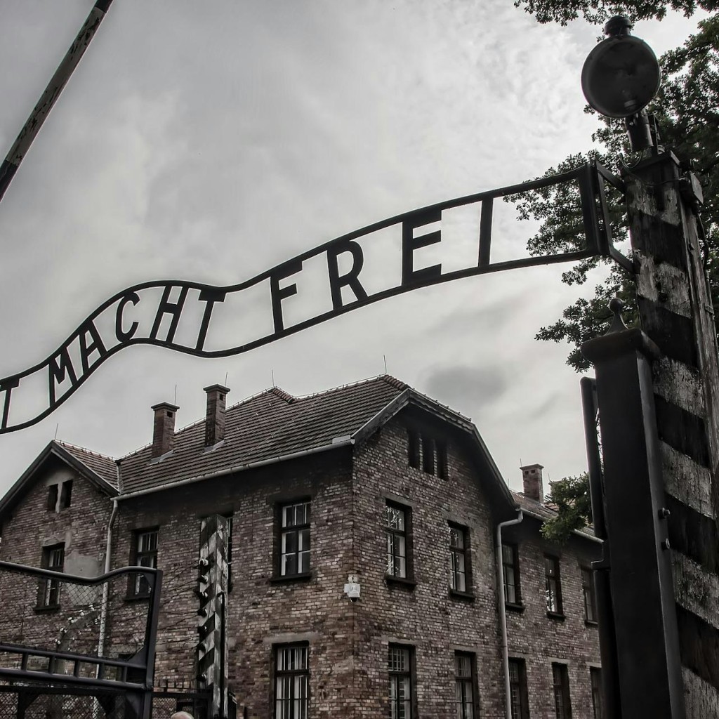 Auschwitz-Birkenau : Visite guidée + Transports + Déjeuner - 2