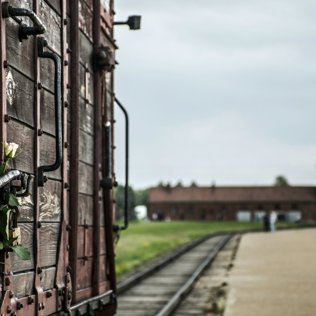 Auschwitz-Birkenau : Visite guidée + Transports - Tour in English - 2