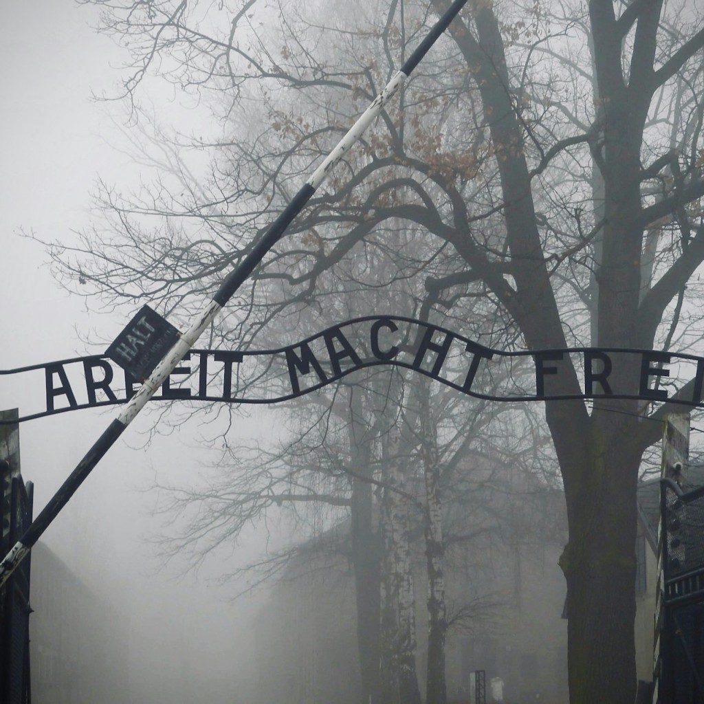 Auschwitz-Birkenau : Visite autonome + Transport depuis Cracovie - English - 2