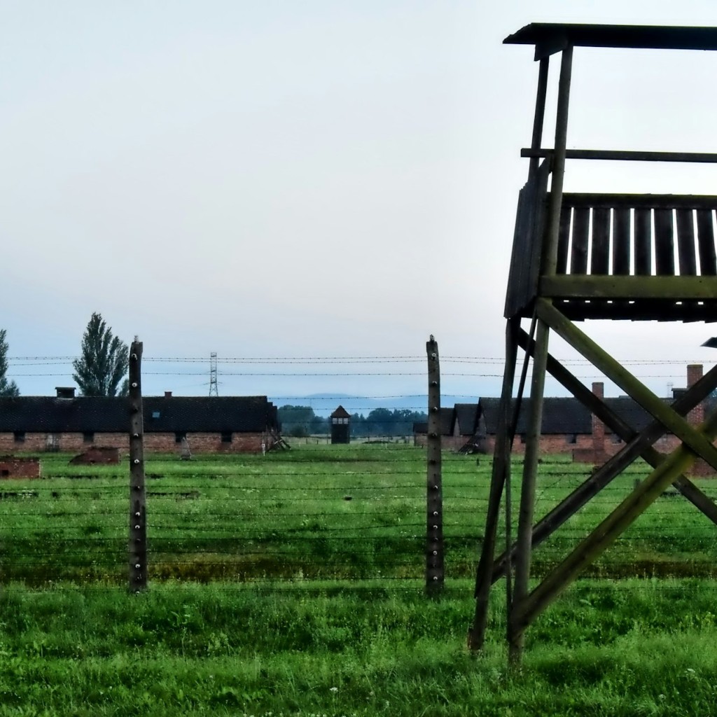 Auschwitz-Birkenau e Miniera di sale di Wieliczka: Tour guidato + Trasporto - 1