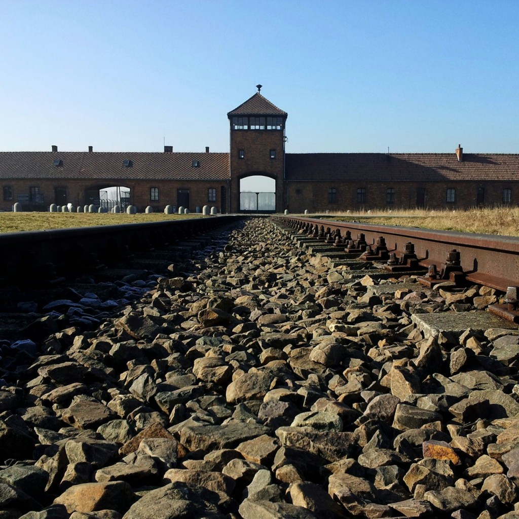 Auschwitz-Birkenau e Miniera di sale di Wieliczka: Tour guidato + Trasporto - 3