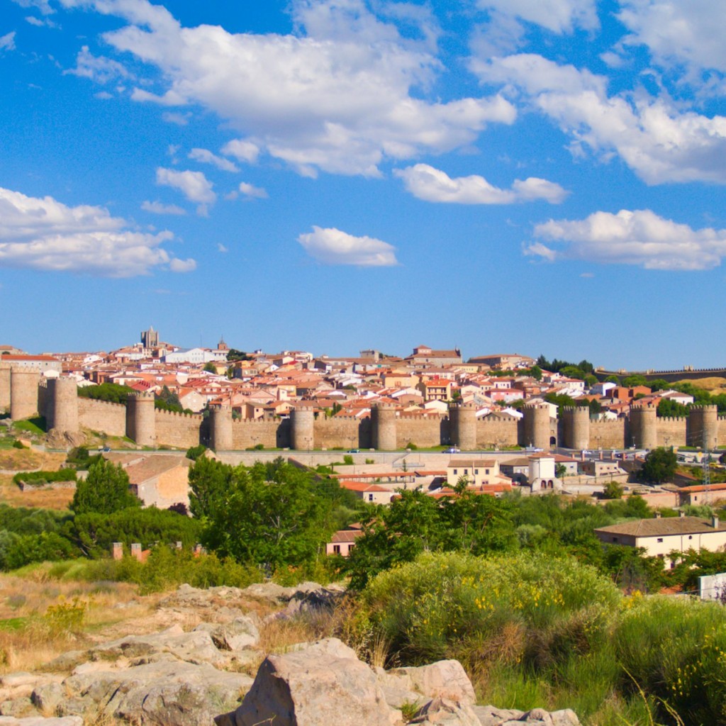 Ávila et Ségovie : Excursion d'une journée depuis Madrid + entrée à l'Alcazar de Ségovie (en option) - Basic ticket - 2