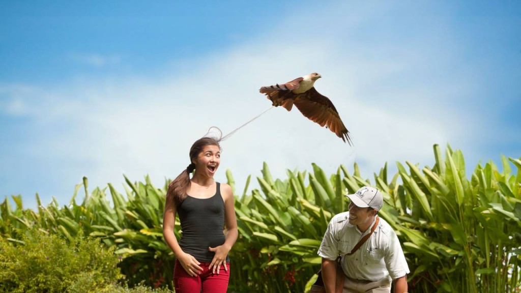 Bali Bird Park Ticket (Bali Bird Park - Admission (International Travellers)) - 2