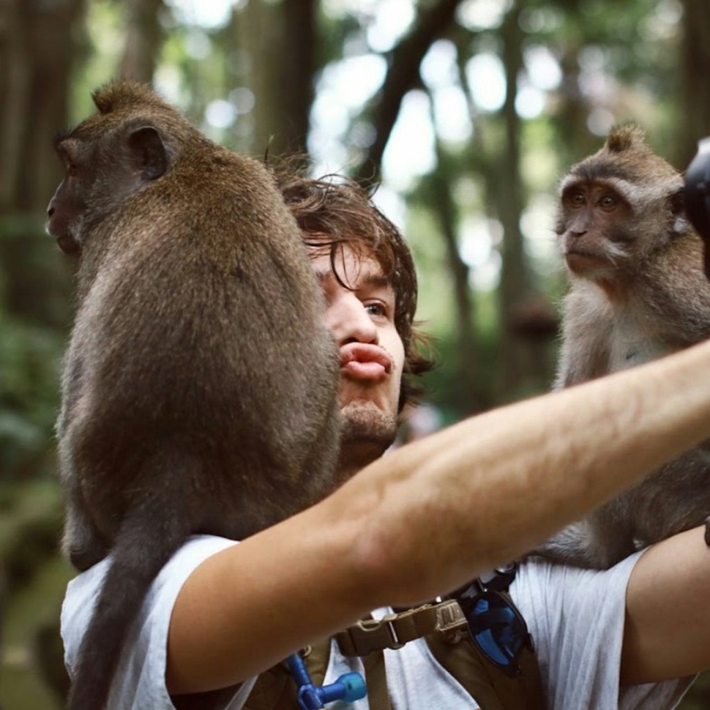 Bali: Leke-Leke Waterfall, Monkey Forest & Jungle Swing Tour with Transfer - 2