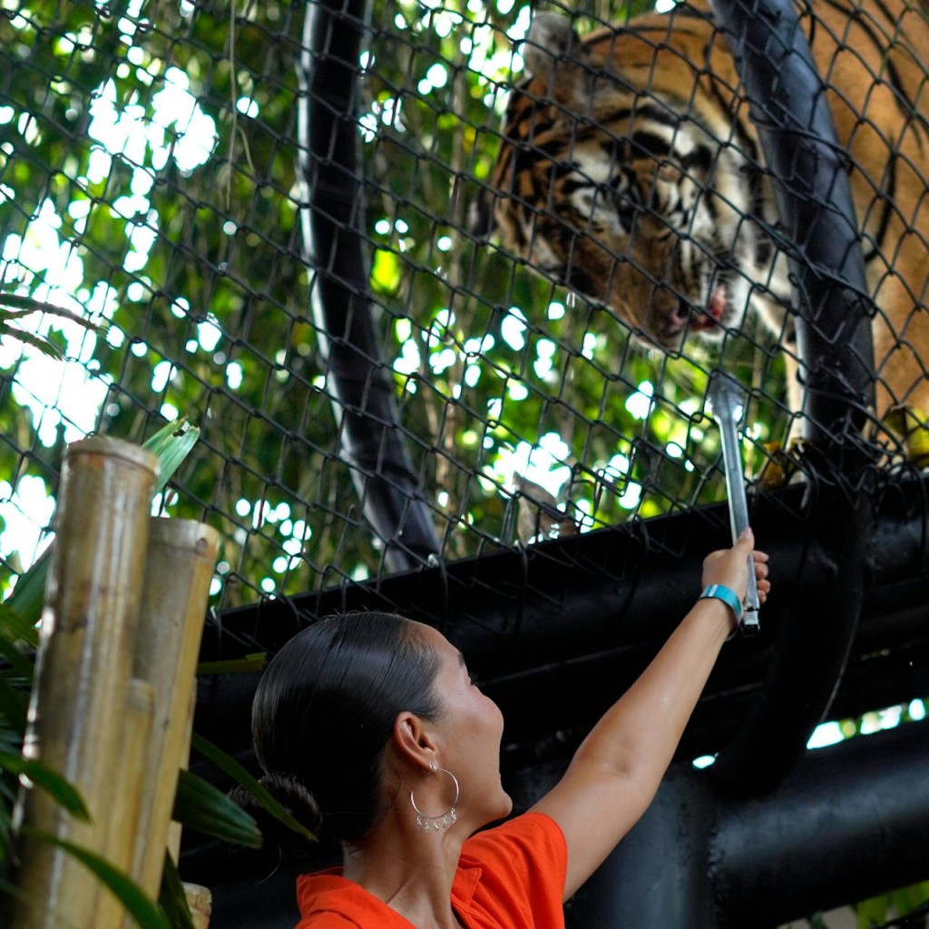 Bali Zoo: Entry Ticket - 2