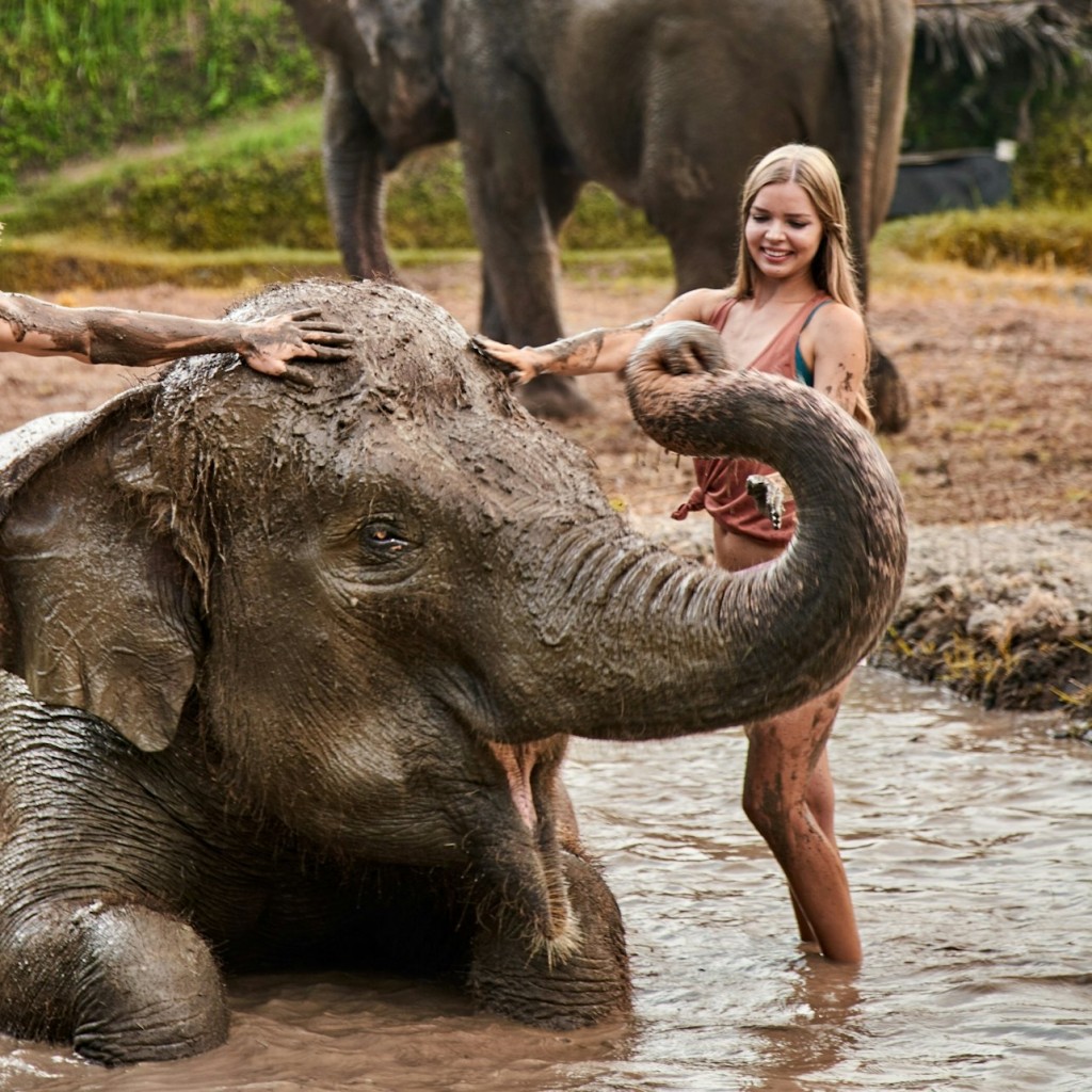 Bali Zoo: Entry Ticket - 3