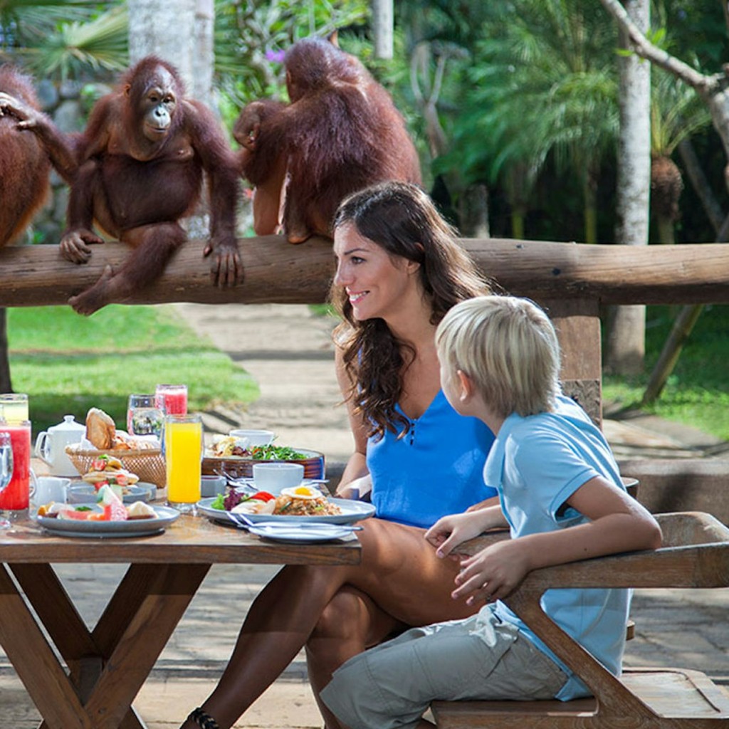 Zoo de Bali: Tiquet d'entrada - Breakfast with Orangutan - 2