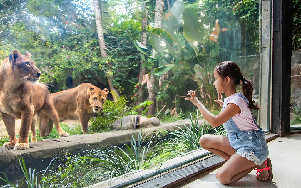 Bali Zoo Tickets + Frühstück mit Orang-Utans (Breakfast with Orangutans + Bali Zoo Tickets + Hotel Transfers) - 1