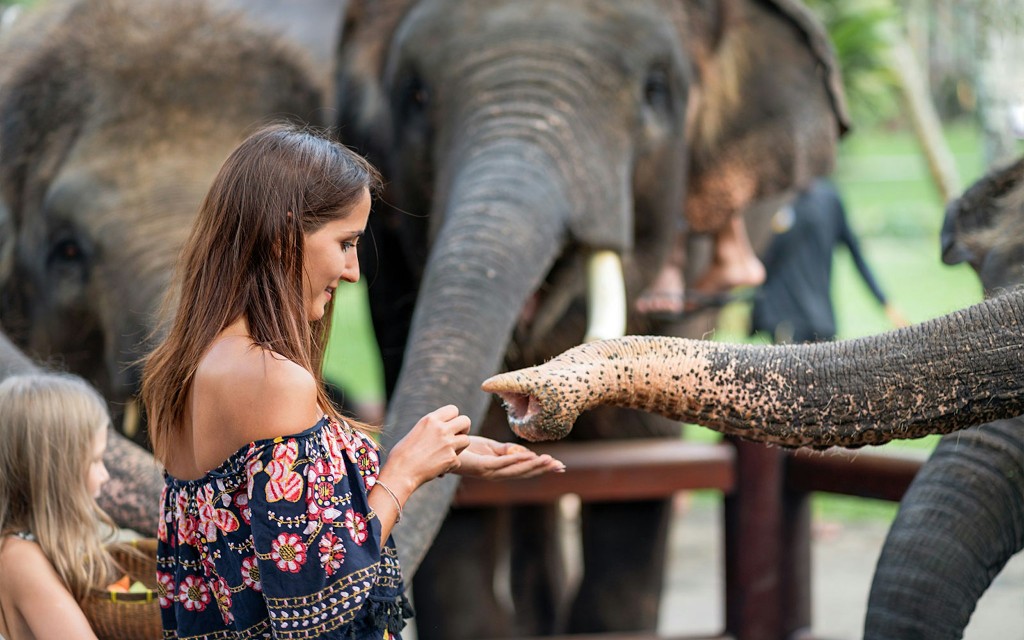 Biglietti per lo zoo di Bali e attività nel fango con gli elefanti (Elephant Feeding & Mud Bath + Bali Zoo Tickets + Hotel Transfers) - 1