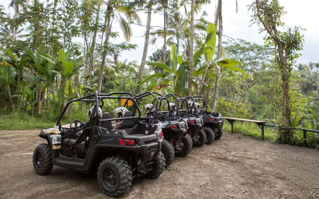 Bali's Thrilling Jungle Buggy Adventure by Mason Adventures (2 Laps Jungle Buggy Adventure - Single Rider (Without Return Transfers and Lunch)) - 2