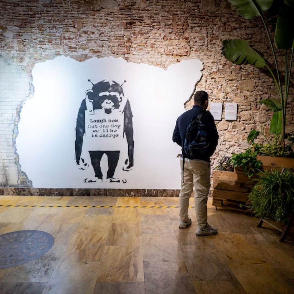 Banksy Museum Barcelona (Banksy Museum Barcelona - Regular Ticket) - 2