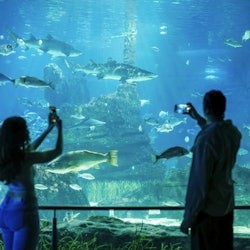 Barcelona Aquarium: Entry Ticket - 2