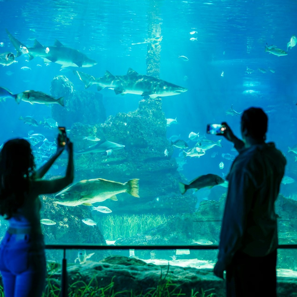 L'Aquàrium de Barcelona: Flexi-Ticket - 2