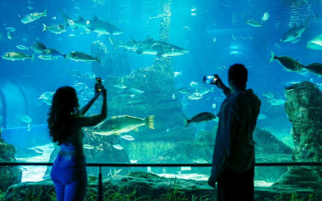 Barcelona Aquarium Skip-the-Line Tickets (-) - 3