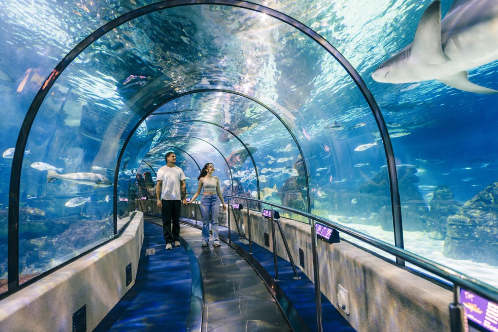 Barcelona Aquarium Ticket (Skip-the-Line Admission) - 3