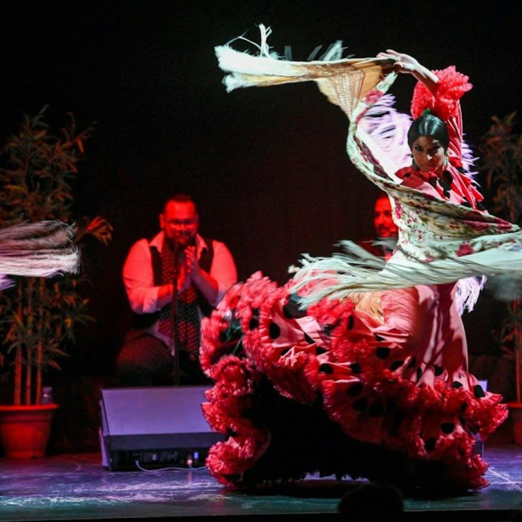Barcelona City Hall Theater: Show de Flamenco - Ticket B - 1