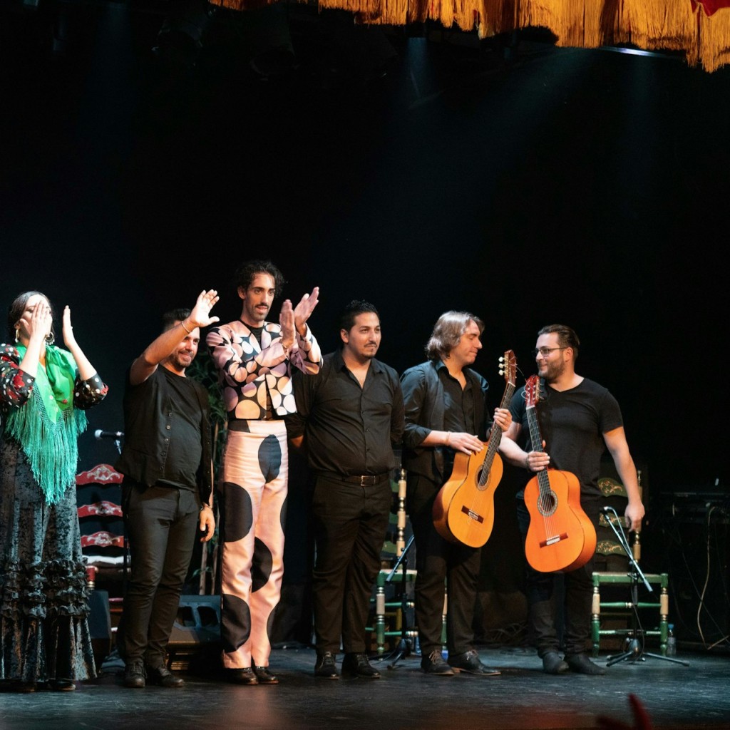 Barcelona City Hall Theater: Show de Flamenco - Ticket B - 3